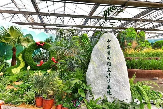 实图!第七届北京农业嘉年华明日开幕,场馆美景游玩攻略抢先看!