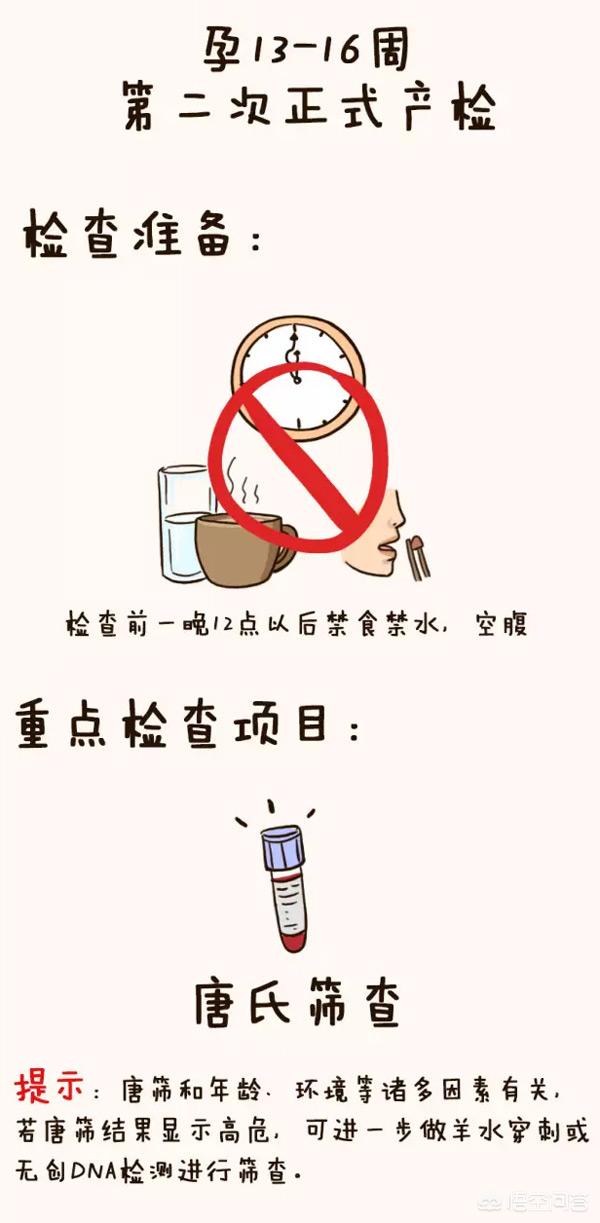 怀孕后，什么时间检查什么项目？