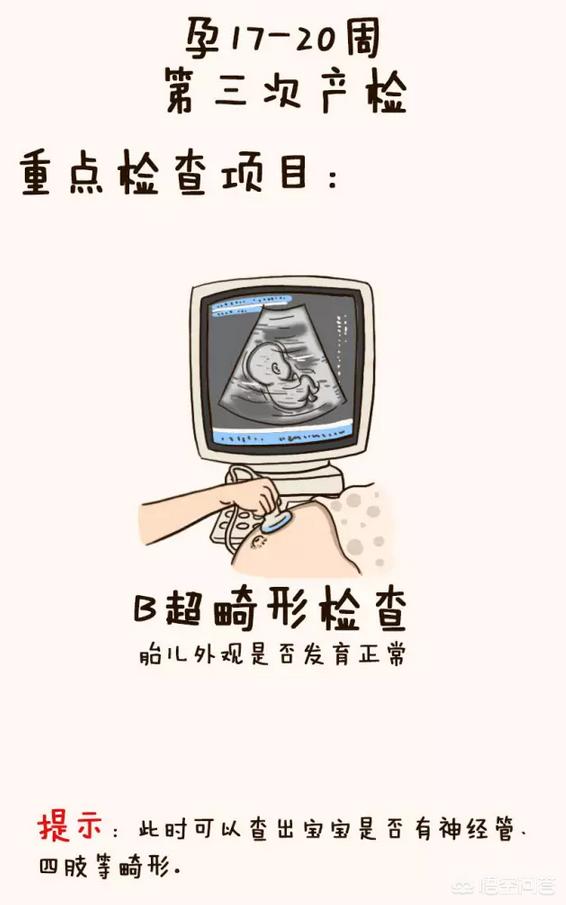 怀孕后，什么时间检查什么项目？