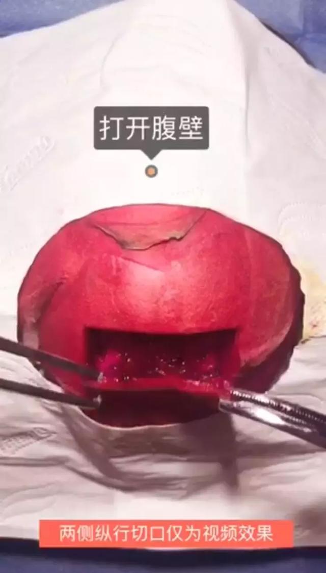 震撼！水果模拟生孩子全过程，看完才知道当妈的有多不容易！