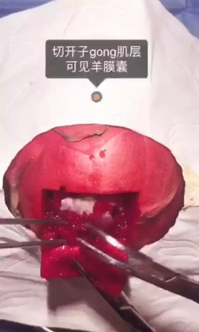 震撼！水果模拟生孩子全过程，看完才知道当妈的有多不容易！