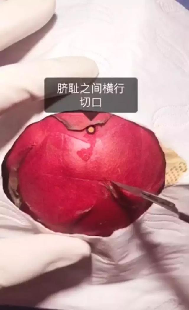 震撼！水果模拟生孩子全过程，看完才知道当妈的有多不容易！