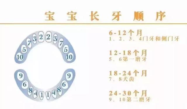 宝宝长牙，爸妈要注意什么?