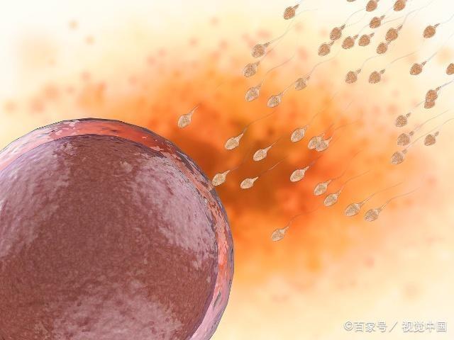 女人到了多少岁，还能怀孕生孩子？打算要二胎的女人看看吧！