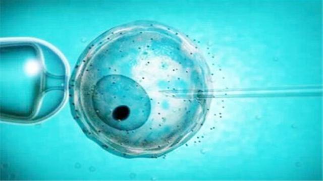 不孕不育选试管？不是逼不得已，没有哪位妈妈愿意承受这些伤痛！