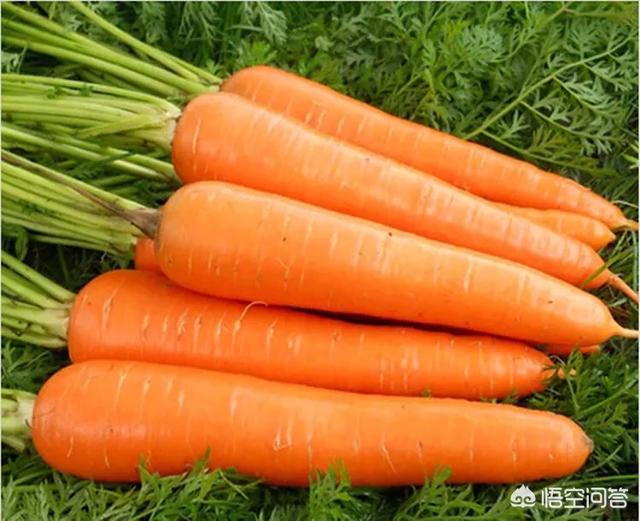 春天可以给孩子吃什么应季食物？