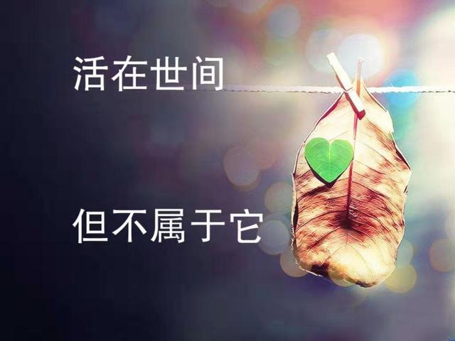 活在世间，但不属于它