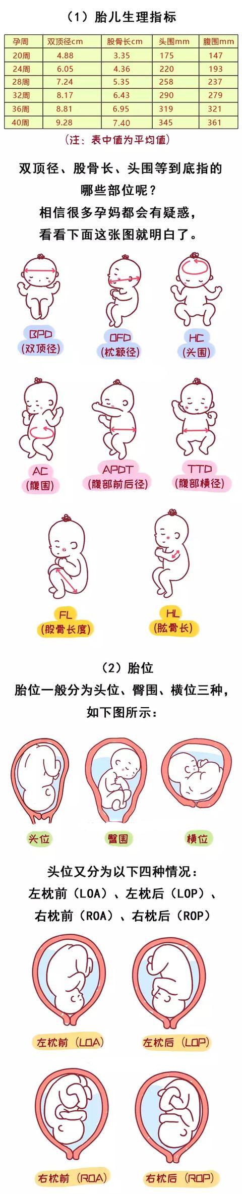 排队2小时，问诊1分钟？产检时你想知道的一篇搞定！
