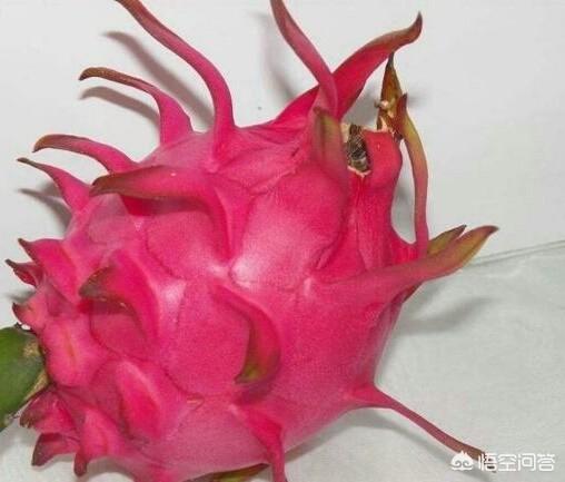 孕晚期哪些水果比较适合？