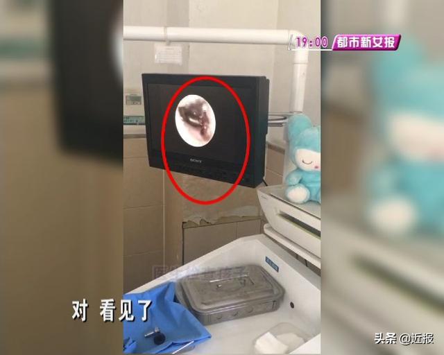家长们千万注意！小心它“溜”进孩子耳朵里，很多商场都有…