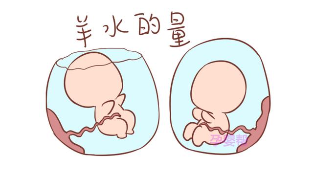 同样是怀孕，为什么有的人一点都不显怀？原因有这4个，实属正常