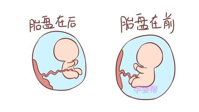 同样是怀孕，为什么有的人一点都不显怀？原因有这4个，实属正常