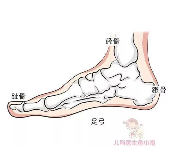 如何给宝宝挑鞋子？宝宝扁平足怎么回事？太多细节你都需要知道