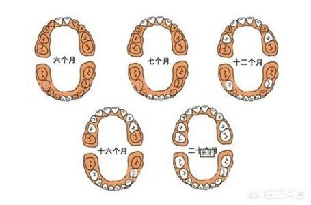 小孩长牙期需要注意什么？
