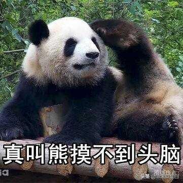 大熊猫基地起名废，奇葩网友脑洞大开：叫熊样或者是熊出没？
