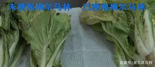 一家4口接连患“白血病”，医生：厨房这“毒物”，最好扔掉