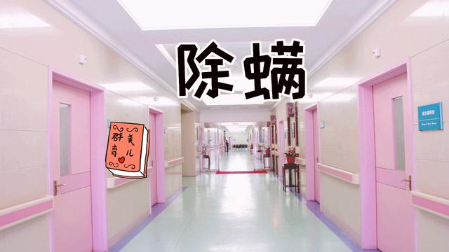 春季易过敏，不一定是花粉惹的祸，尘螨易出现也易引发各种症状
