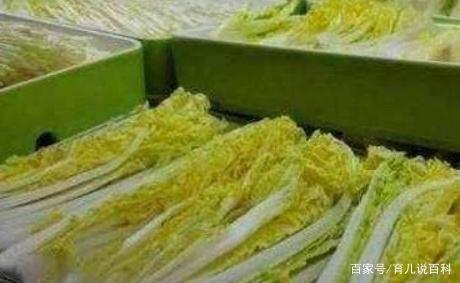 一家4口接连患“白血病”，医生：厨房这“毒物”，最好扔掉