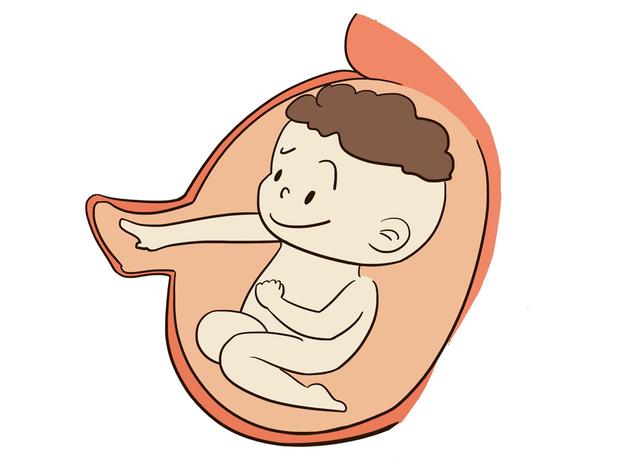 为什么胎动在晚上更频繁？原因大多数孕妈都不知道