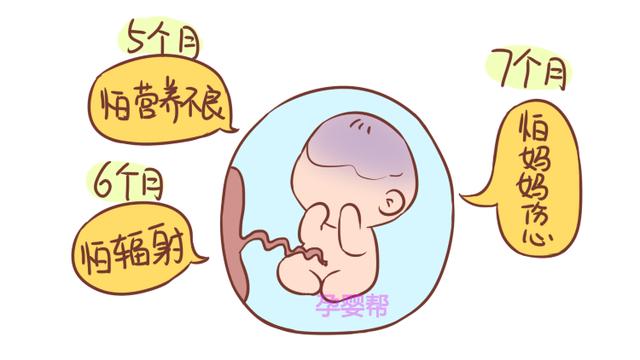 怀胎十月，胎儿最怕这10件事情，准妈最好一个都不要做