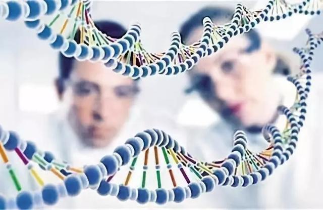 一点唾液能否检测出孩子的天赋？