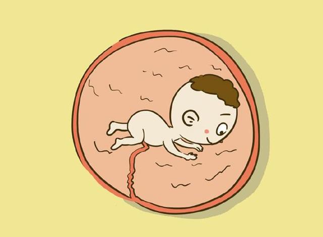 孕妈在睡觉时，胎儿都在干嘛？第二条不忍直视