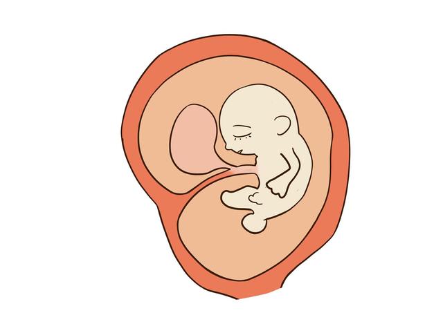 孕妈在睡觉时，胎儿都在干嘛？第二条不忍直视