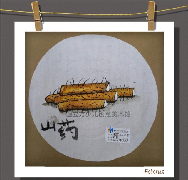 少儿创意美术|写生写实训练培养孩子的观察能力和表现能力