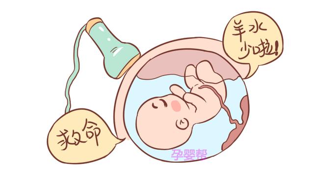 怀孕到这个月份，胎儿最容易发生缺氧，不知道你就太无知了