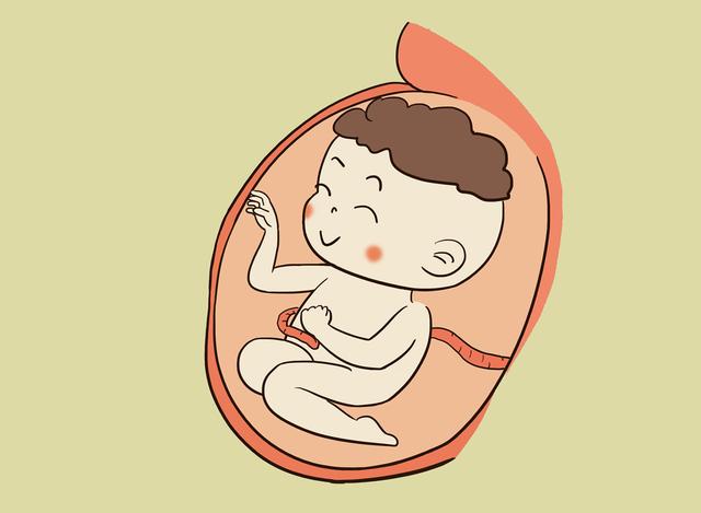 孕妈在睡觉时，胎儿都在干嘛？第二条不忍直视