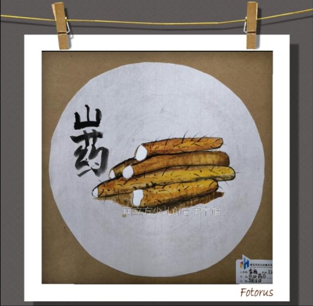 少儿创意美术|写生写实训练培养孩子的观察能力和表现能力