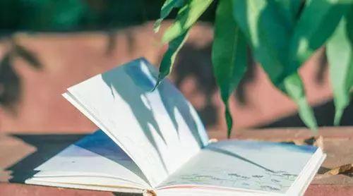 那些自律的孩子终将拥有开挂的人生！4个方法让孩子学会自律！