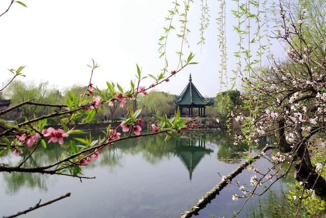 孩子长高“黄金期”来了，帮孩子做到这“四点”，孩子长高压不住