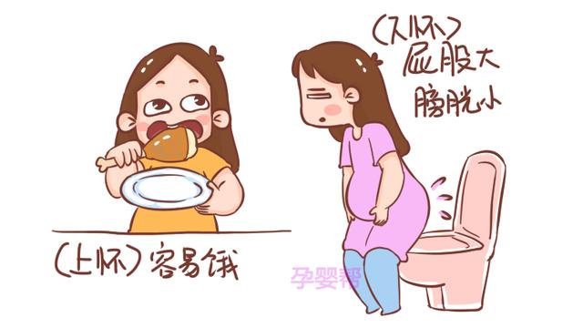 孕妈们，你是“上怀”还是“下怀”？可根据这几点自行对照