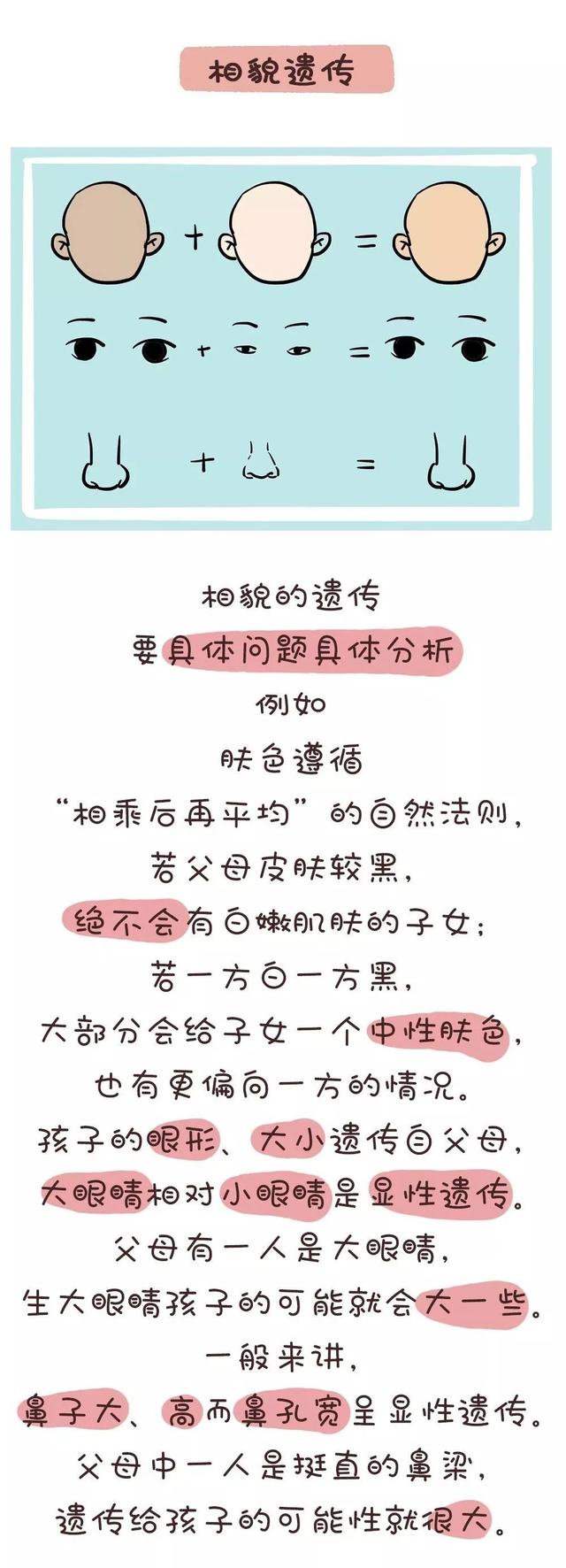一张图告诉你!孩子的智商到底遗传爹还是妈!