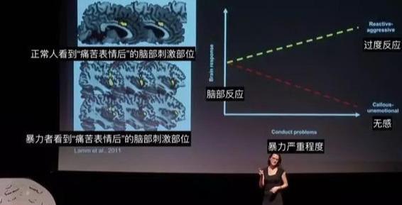 爱打人的孩子，大脑和普通孩子有何不同？美国学者有惊人发现