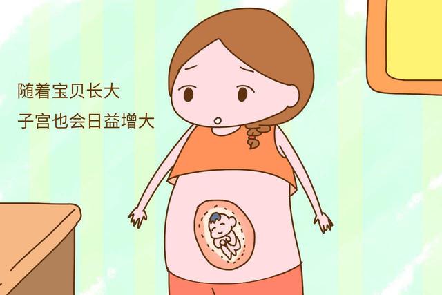 为什么怀孕会尿频？如何鉴别是不是尿路感染？