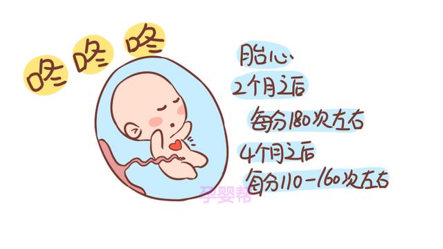 这3种胎儿生命体征，预示着胎儿的健康程度，孕妈了解多少？