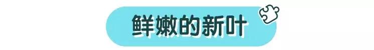 春天带娃出门超好玩？其实更有趣的玩法在家里