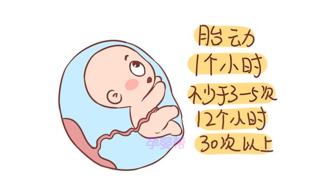 这3种胎儿生命体征，预示着胎儿的健康程度，孕妈了解多少？