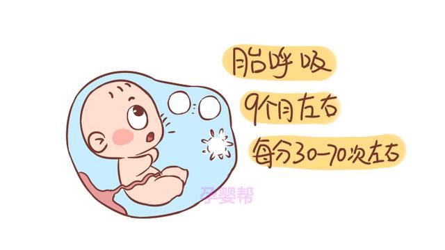 这3种胎儿生命体征，预示着胎儿的健康程度，孕妈了解多少？