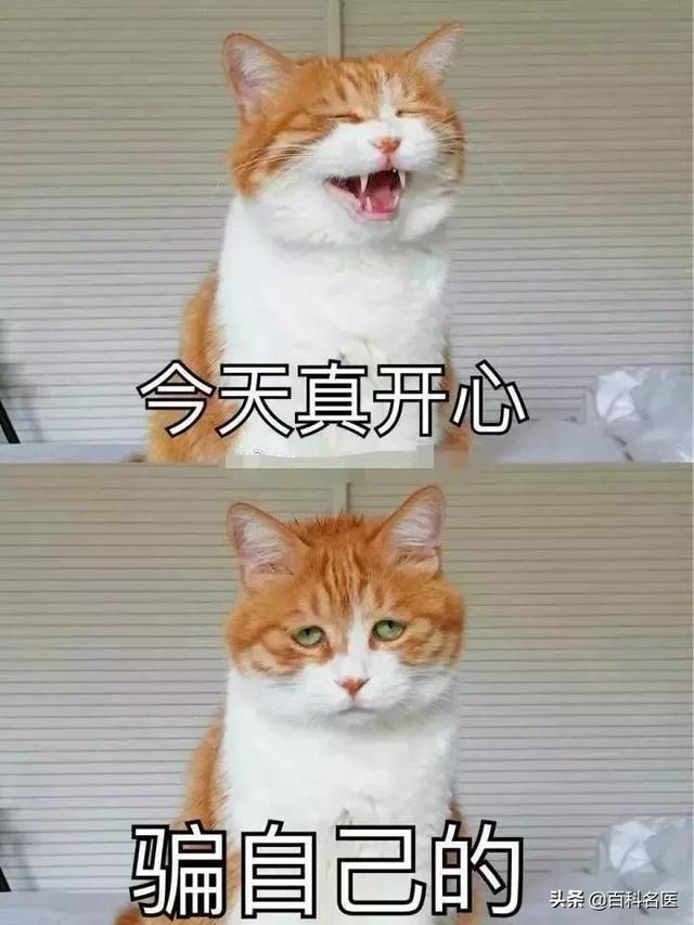 这个孩子，我后悔生下他·····
