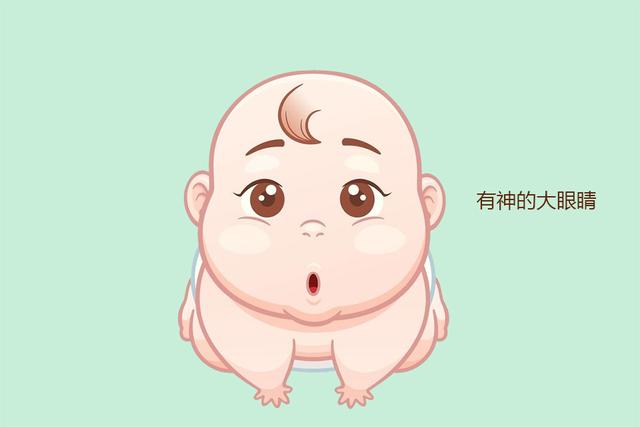 孩子长大颜值高不高，脸上这几个地方起决定作用，快看你家娃有没