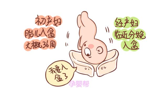 胎儿入盆时，初产妇和经产妇有啥不同？具体表现在这2个方面