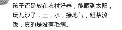 你们家都是怎么养孩子的？你有过把孩子放在乡下的经历吗？