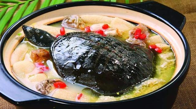 怀孕以后，这些食物就算再想吃，孕妈们也要管住嘴