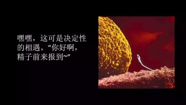 震撼！宝宝在子宫里最真实的照片曝光，我们每个人都是这么来的～