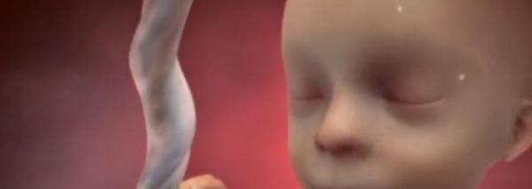 孕期肚子一跳一跳的啥情况孕妈以为是胎动的话，就太“年轻”了