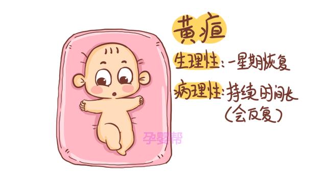 有这3个饮食习惯的孕妈,应尽快改掉,当心新生儿黄疸找上门