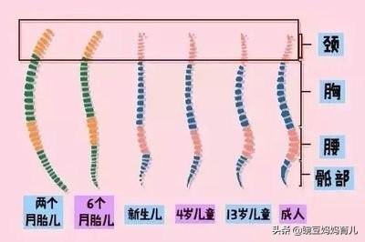 孩子几个月可以开始练习坐？没有这几个信号，千万别开始